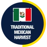 traditional-mexican-harvest